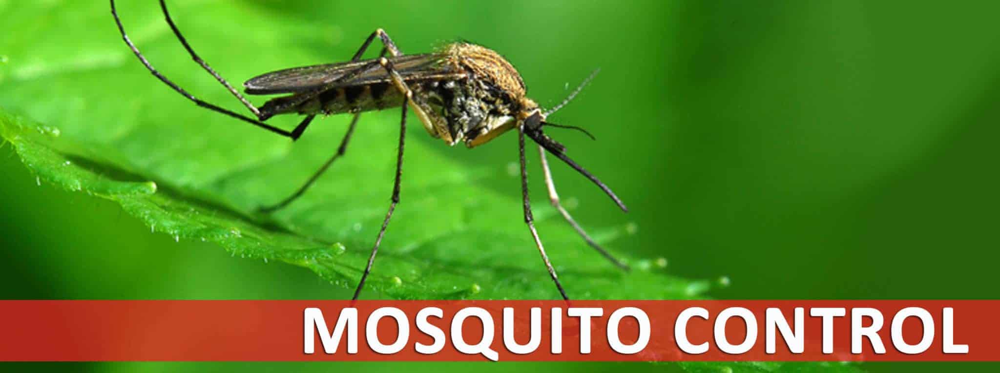 mosquito control companies