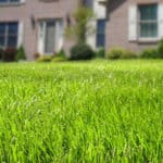 curb appeal Ames lawn care services 