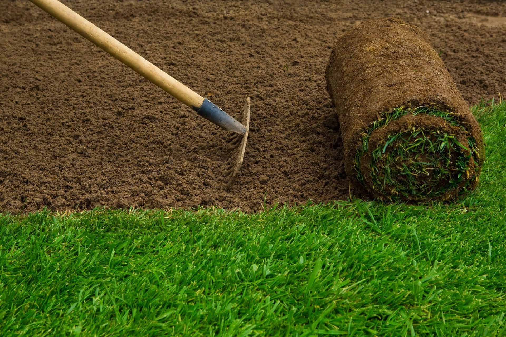 how to fix a bumpy lawn
