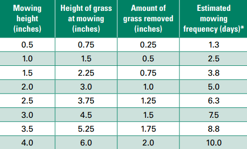 Lawn Care and Mowing - Nice & Precise Lawn Care Services